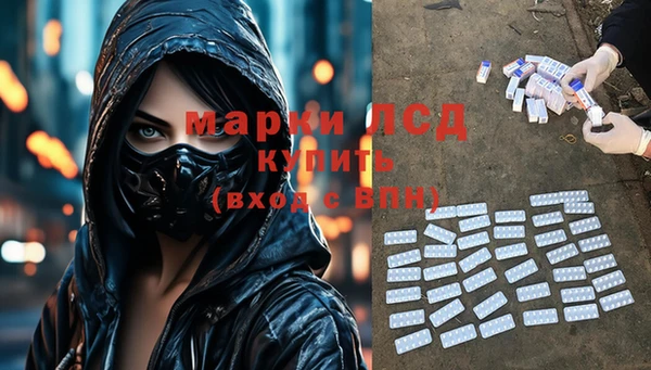 прущие грибы Куйбышев