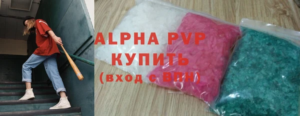 прущие грибы Куйбышев