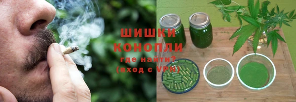 прущие грибы Куйбышев