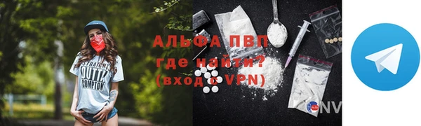 прущие грибы Куйбышев