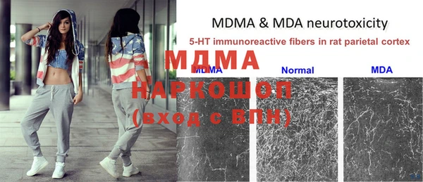 прущие грибы Куйбышев