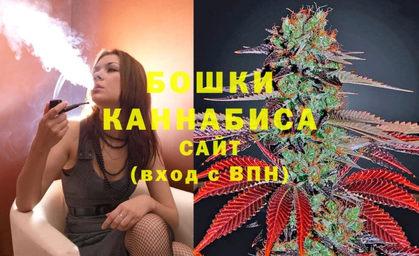 прущие грибы Куйбышев