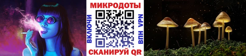 Галлюциногенные грибы мицелий  маркетплейс состав  Елизаветинская 