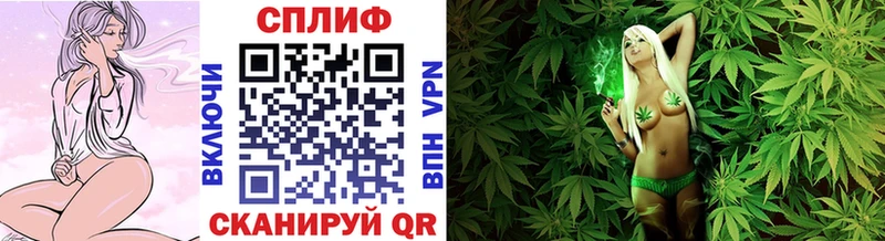 Бошки Шишки индика  кракен ССЫЛКА  Елизаветинская  где продают наркотики 